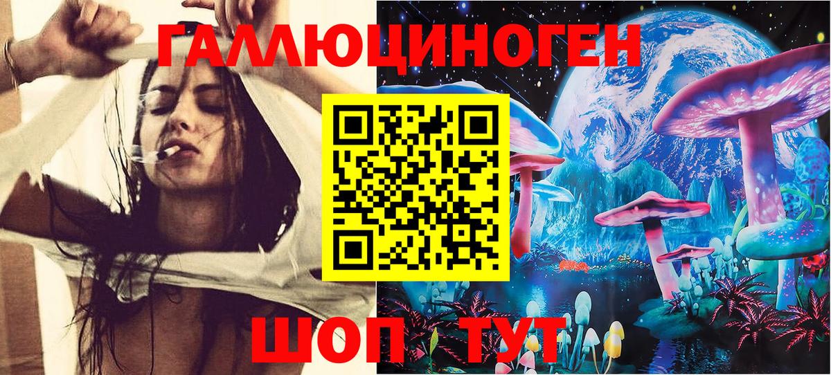 Псилоцибиновые грибы Cubensis Новосибирск